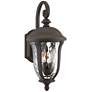 Park Sienna 22 1/4" High Downbridge Bronze Outdoor Wall Light