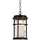 Park View Bronze 13" High LED Hanging Outdoor Light