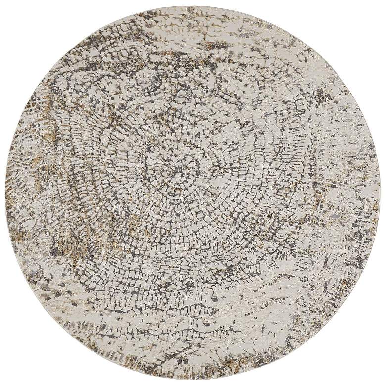 Image 1 Parker Transitional Abstract Soft Indoor Ivory Area Rug 3702F