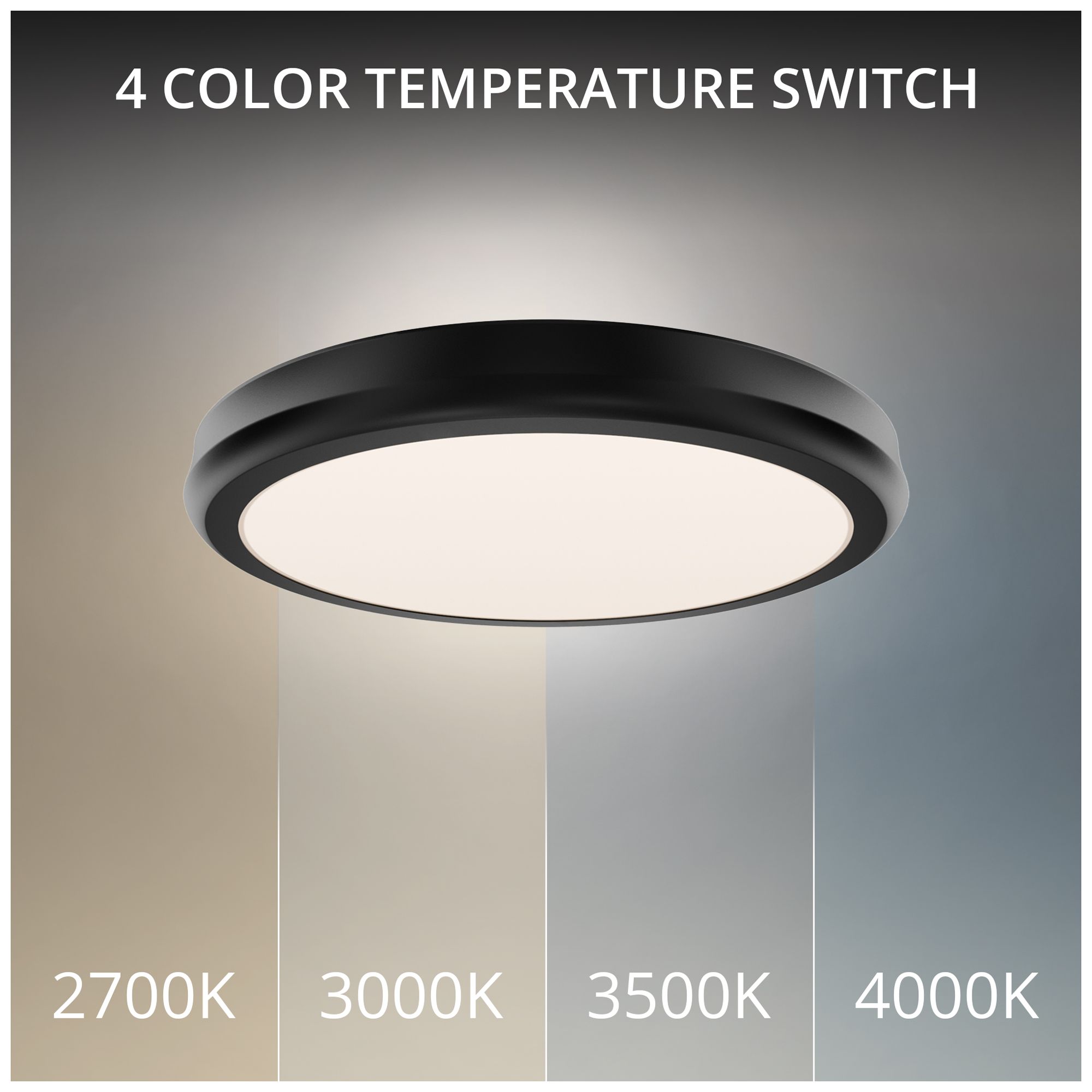 Image 2 Parthenon 1.13"H x 10"W 1-Light Flush Mount in Black more views