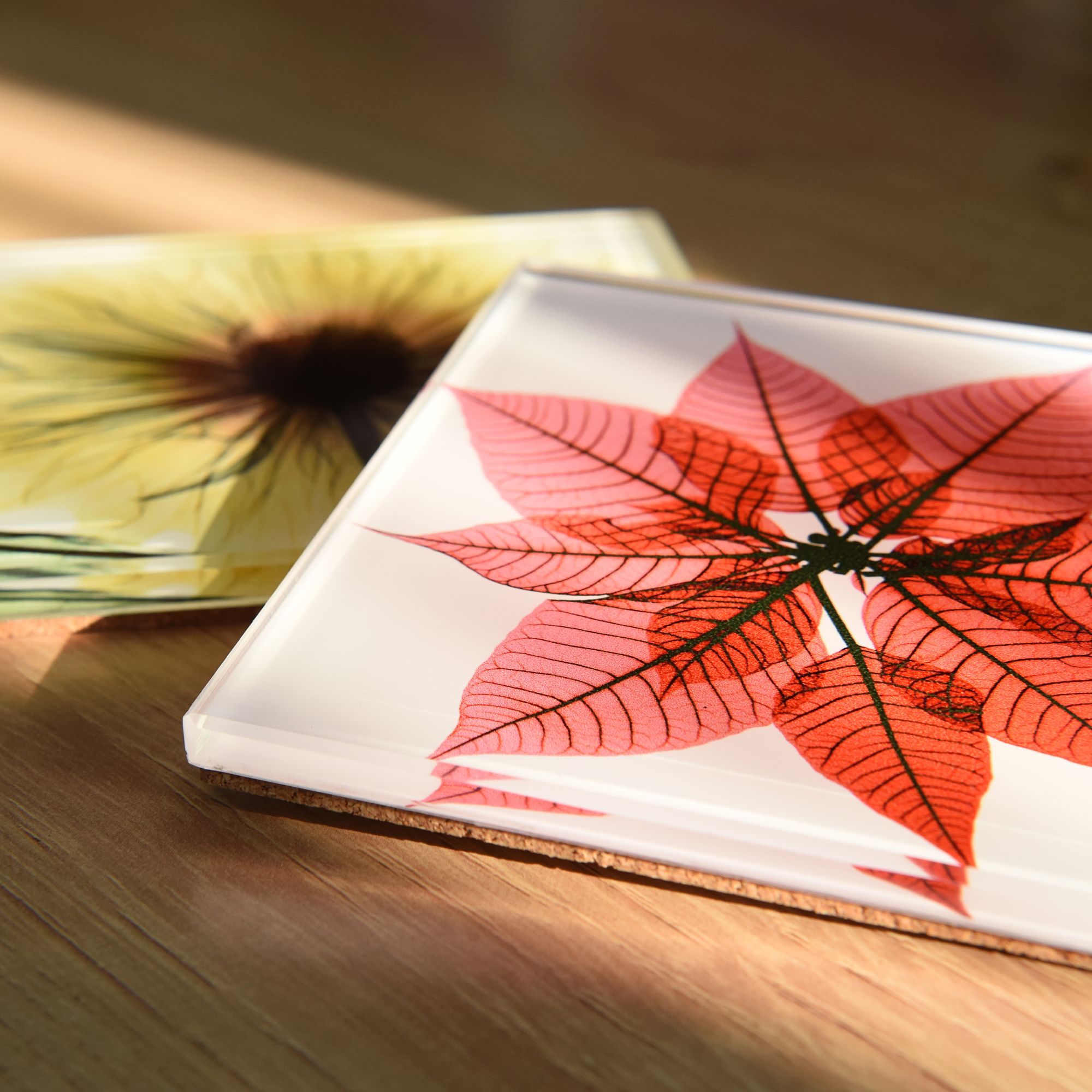 Image 4 Pastel Fleurs Glass 12-Piece Coasters with Cork Bottom more views