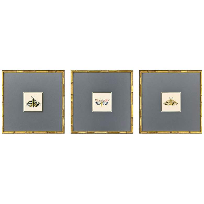 Image 1 Pastel Moths I 17"W x 17"H Framed Art Set of 3