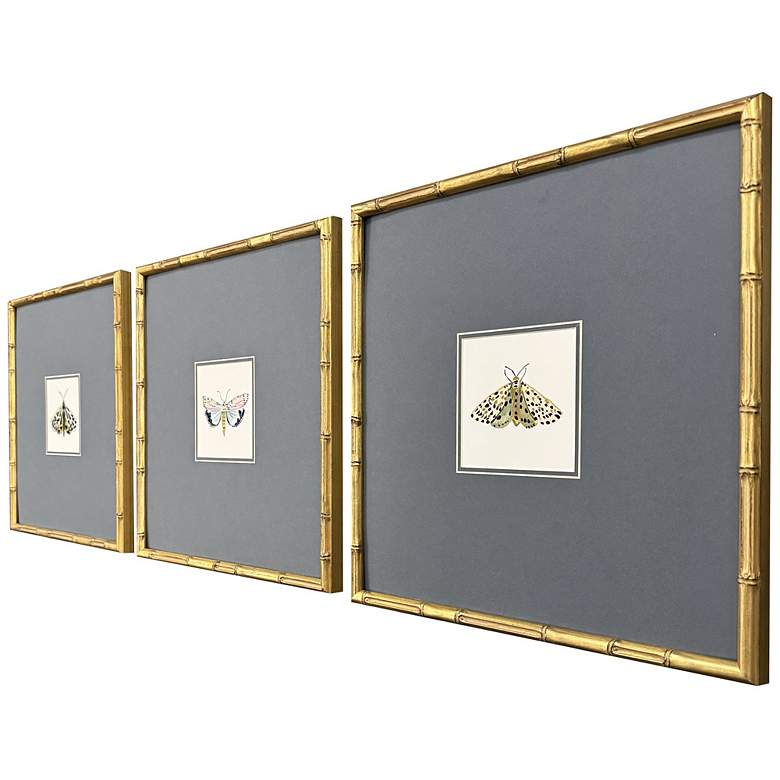 Image 2 Pastel Moths I 17"W x 17"H Framed Art Set of 3 more views