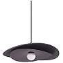 2_Paven 20" Wide Matte Black 12W LED Pendant