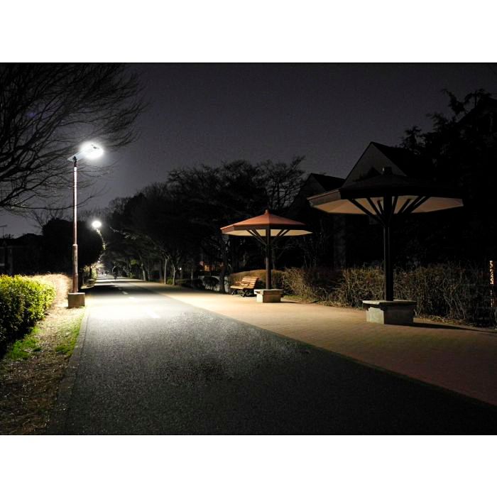 Paxon 35" Wide Brown Solar Dusk-to-Dawn LED Street Light