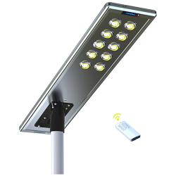 Paxon 65&quot; Wide Brown Solar Dusk-to-Dawn LED Street Light