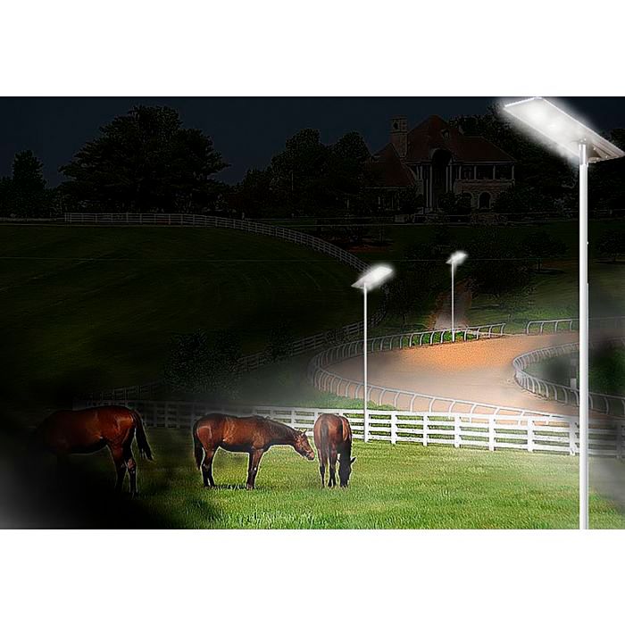 Paxon 65" Wide Brown Solar Dusk-to-Dawn LED Street Light