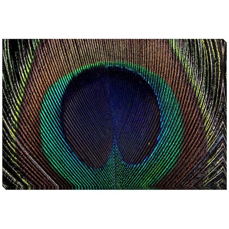 Image 1 Peacock Feather 18 inch x 12 inch Rectangular Canvas Wall Art