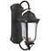 Peale Street 17" High Sand Coal and Vermeil Gold Outdoor Wall Light