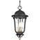 Peale Street 24 3/4"H Sand Coal and Vermeil Gold Outdoor Hanging Light