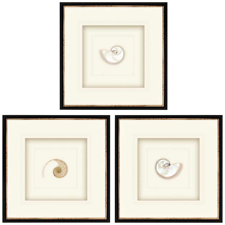 Image 1 Pearled Nautilus 22 inch Square 3-Print Framed Wall Art Set