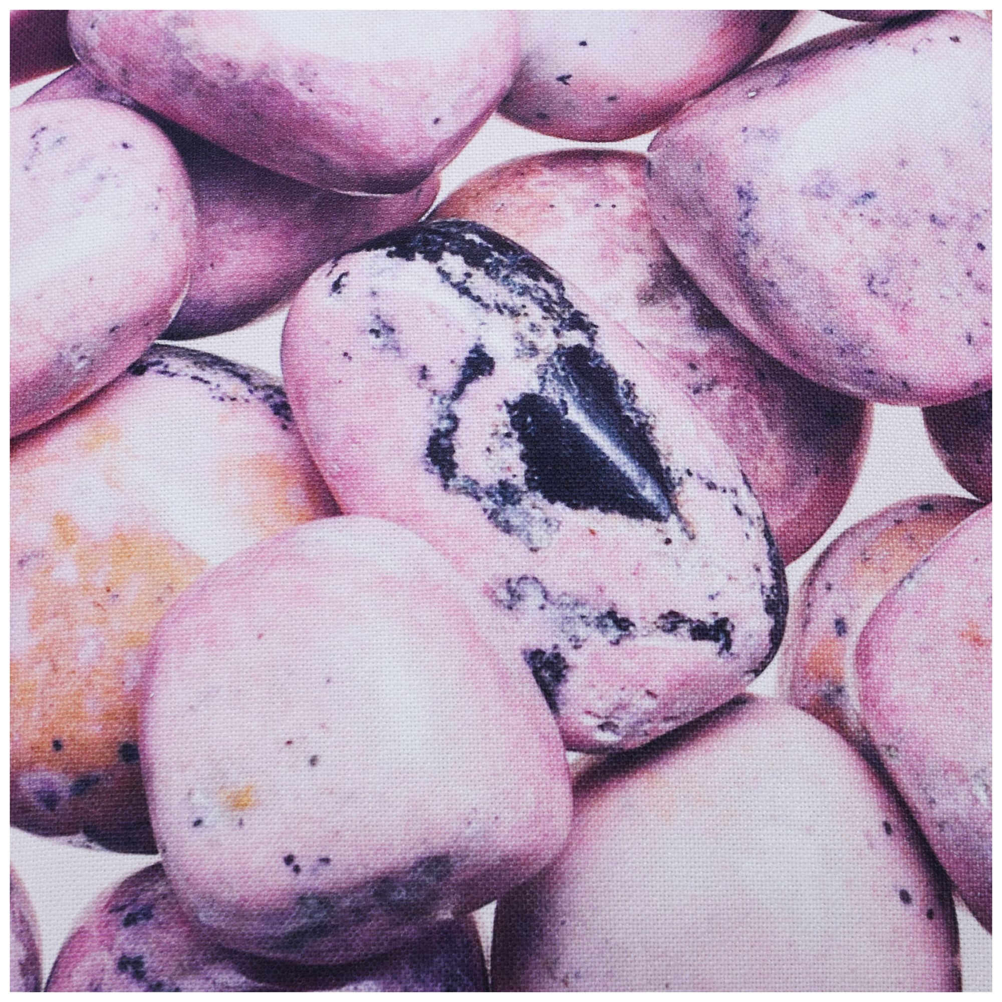 Image 4 Pebble 24 x 6 Pink Pillow more views