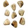 Pebbles Set of Nine Blonde Wd Wall Decor