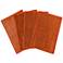 Peele Earthy Terracotta Seagrass Placemats Set of 4