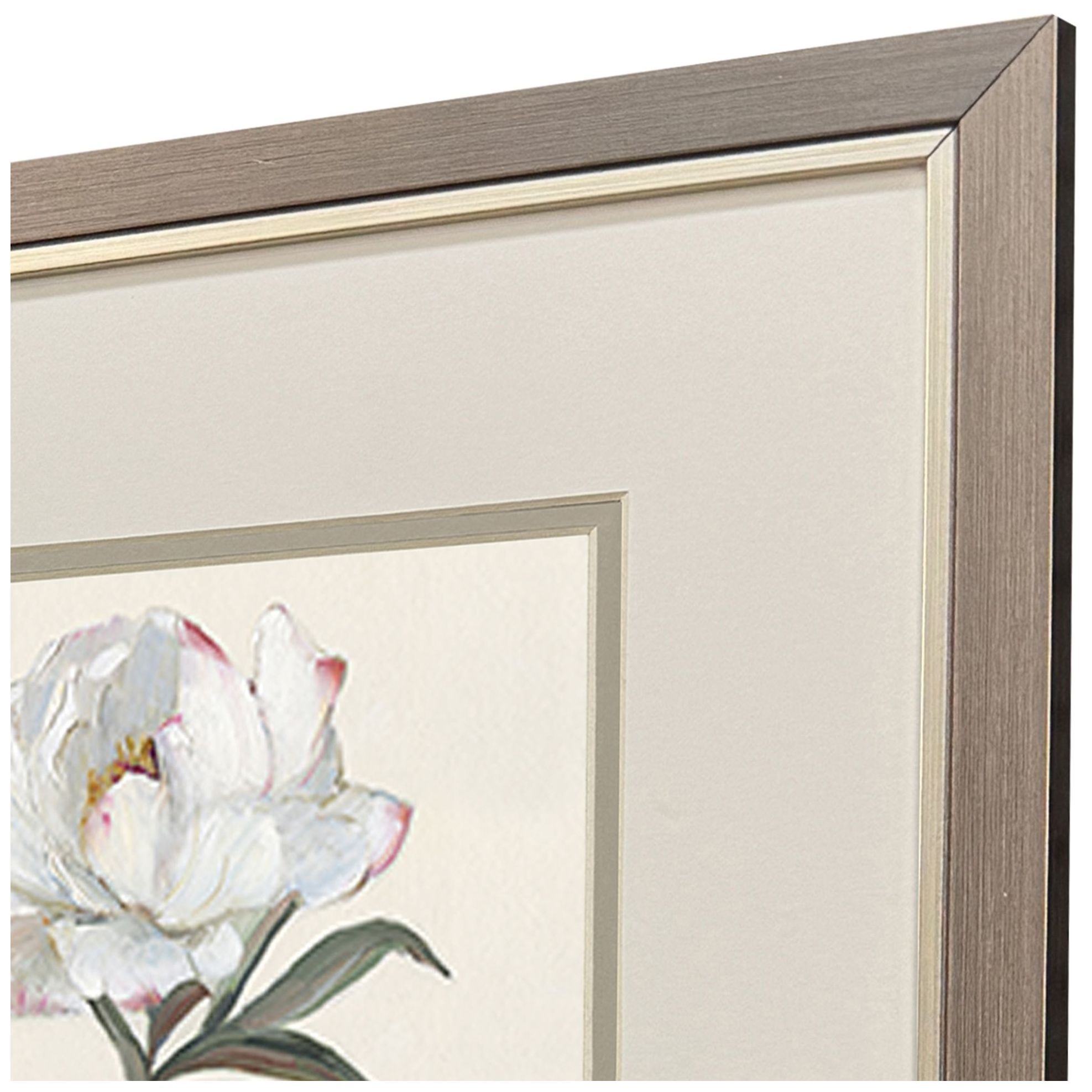 Image 4 Peony Grand 14"W x 16"H Framed Art - Set of 2 more views
