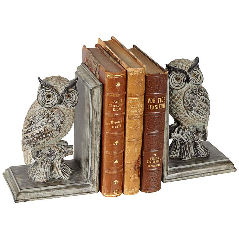 Image 1 Perching Owl Bookends Set