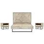 Peridot 3 Piece Queen Bedroom Set in Natural Acacia Wood and Steel