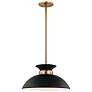 4_Perkins 15" Wide Matte Black Burnished Brass Pendant Light more views