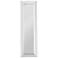 Perry Clear 18" x 60" Rectangular Wall Mirror