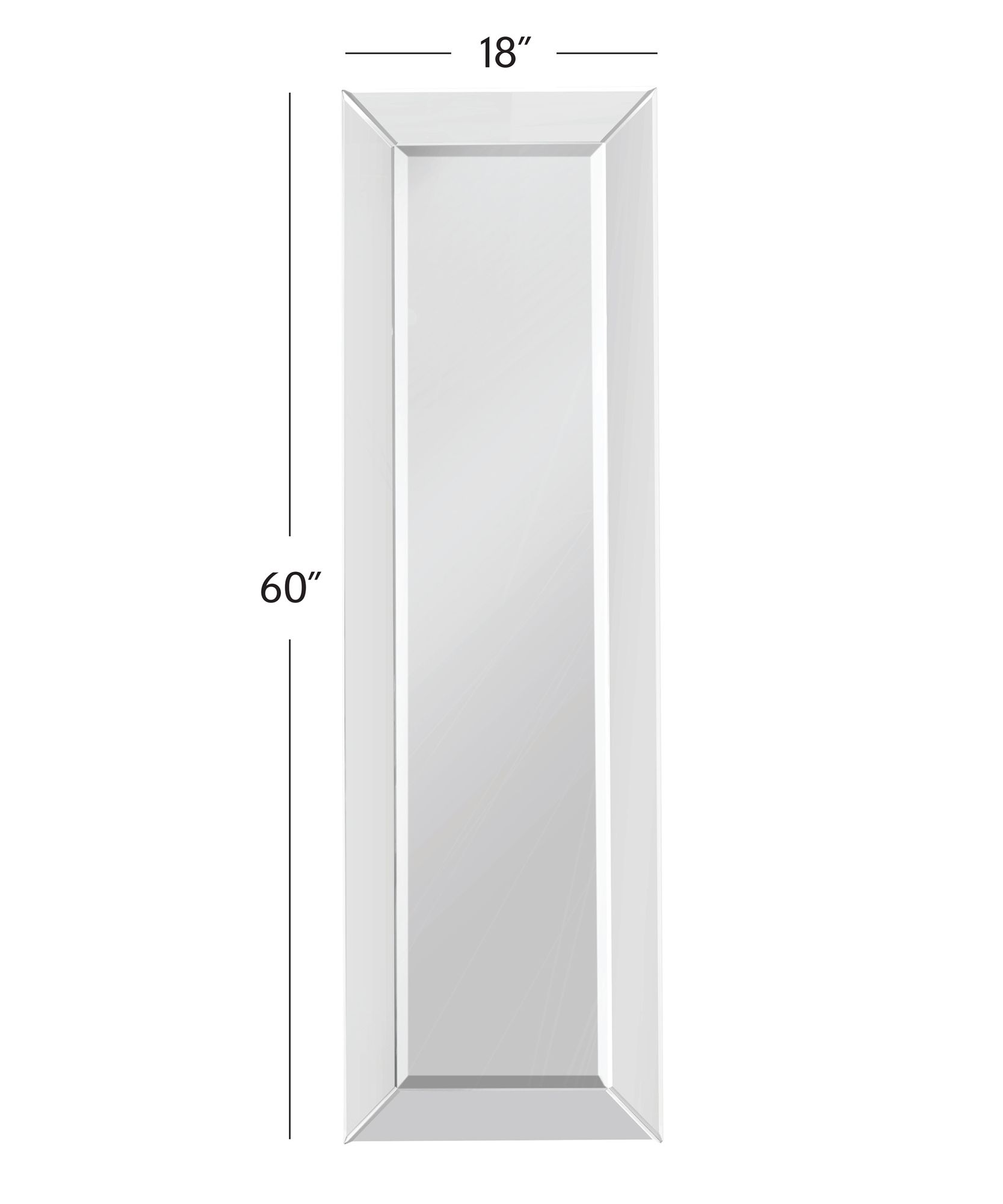 Perry Clear 18" x 60" Rectangular Wall Mirror