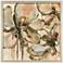 Petal Play I 39"W x 39"H Framed Art
