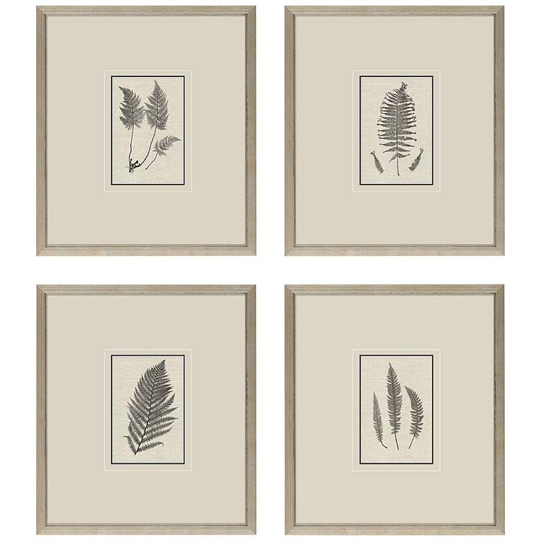 Image 3 Petite Ferns 14" High 4-Piece Giclee Framed Wall Art Set