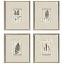 3_Petite Ferns 14" High 4-Piece Giclee Framed Wall Art Set