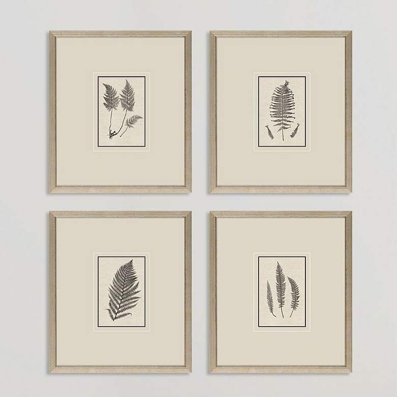 Image 2 Petite Ferns 14" High 4-Piece Giclee Framed Wall Art Set