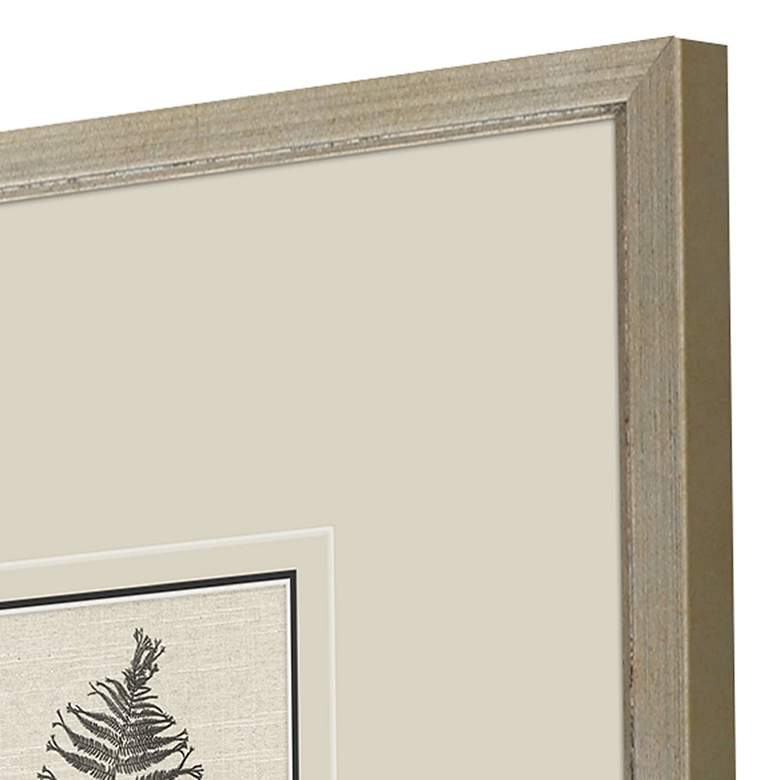 Image 4 Petite Ferns 14" High 4-Piece Giclee Framed Wall Art Set more views