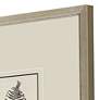 4_Petite Ferns 14" High 4-Piece Giclee Framed Wall Art Set more views