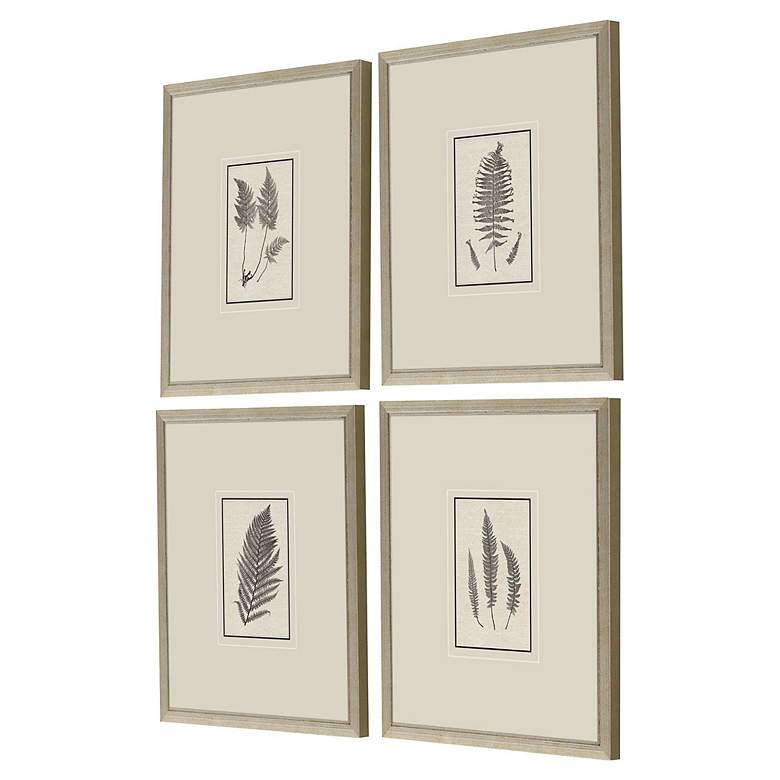 Image 5 Petite Ferns 14" High 4-Piece Giclee Framed Wall Art Set more views