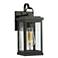 Phalaenopsis 12" High Black Outdoor Wall Lights Set of 2