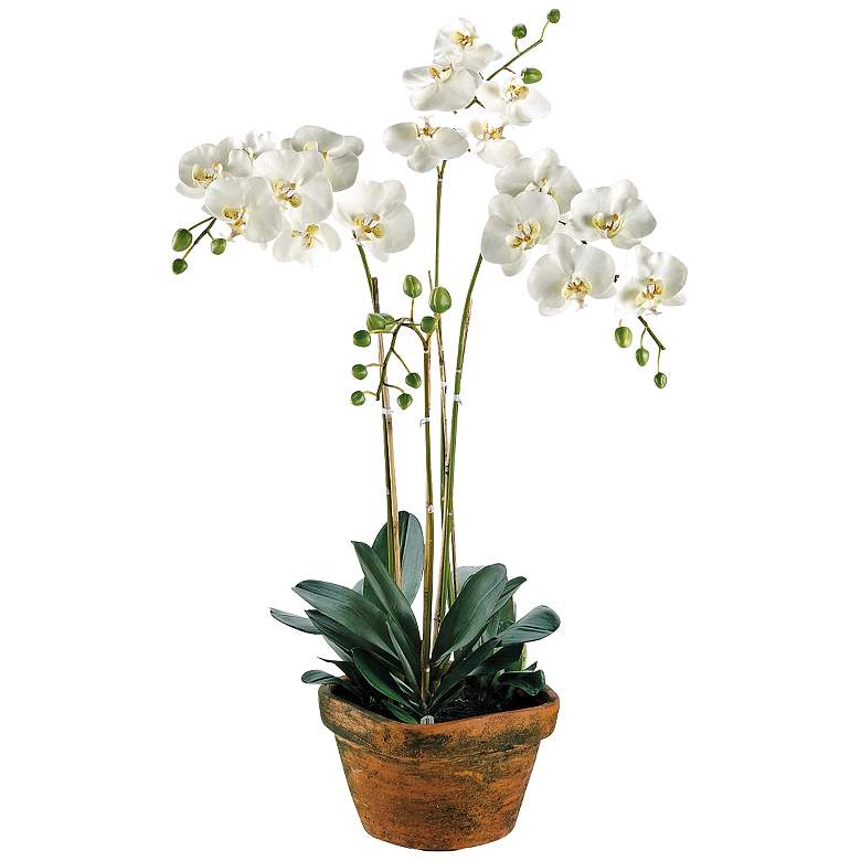 Image 1 Phalaenopsis Orchid 36" High Faux Plant in Terra Cotta Pot