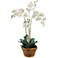 Phalaenopsis Orchid 36" High Faux Plant in Terra Cotta Pot