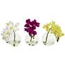 Phalaenopsis Orchids 9" Faux Flowers in Glass Vases Set of 3