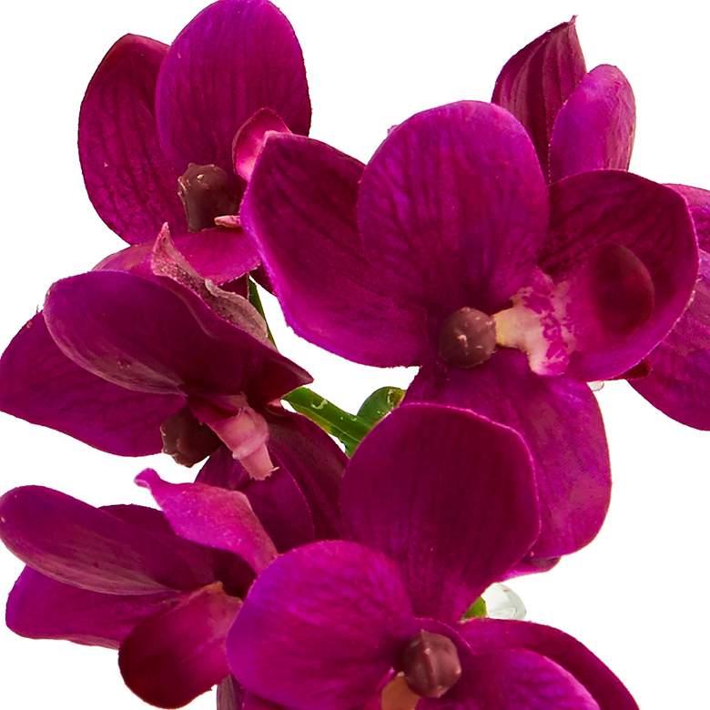 Image 3 Phalaenopsis Orchids 9" Faux Flowers in Glass Vases Set of 3 more views