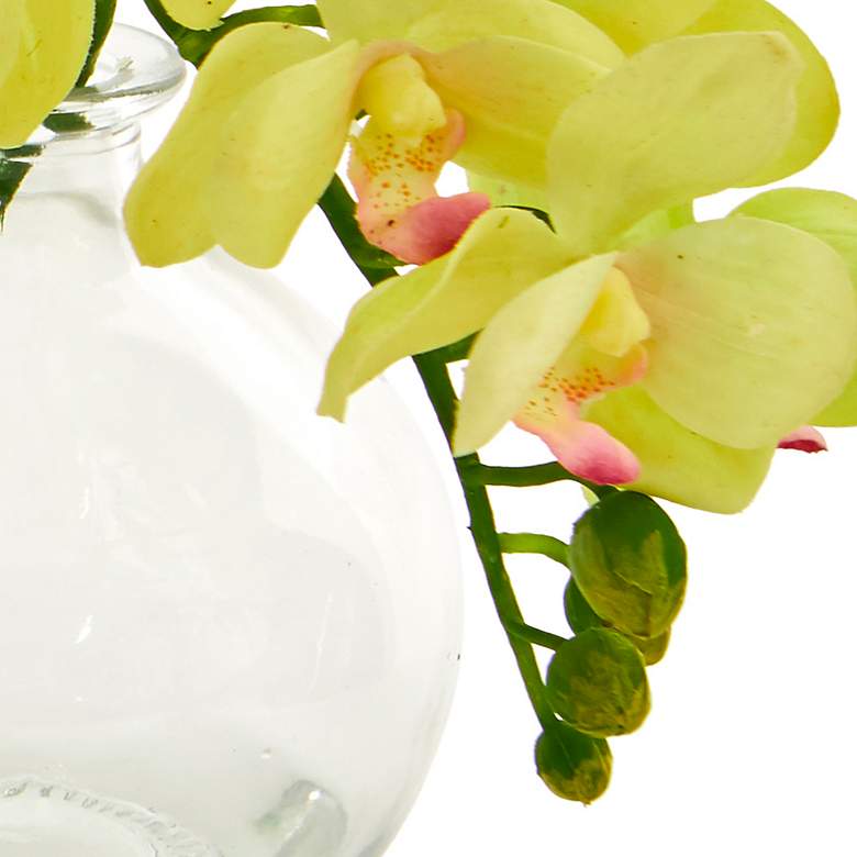 Image 4 Phalaenopsis Orchids 9" Faux Flowers in Glass Vases Set of 3 more views
