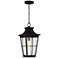 Phia 18" High Black and Seeded Glass Outdoor Hanging Light