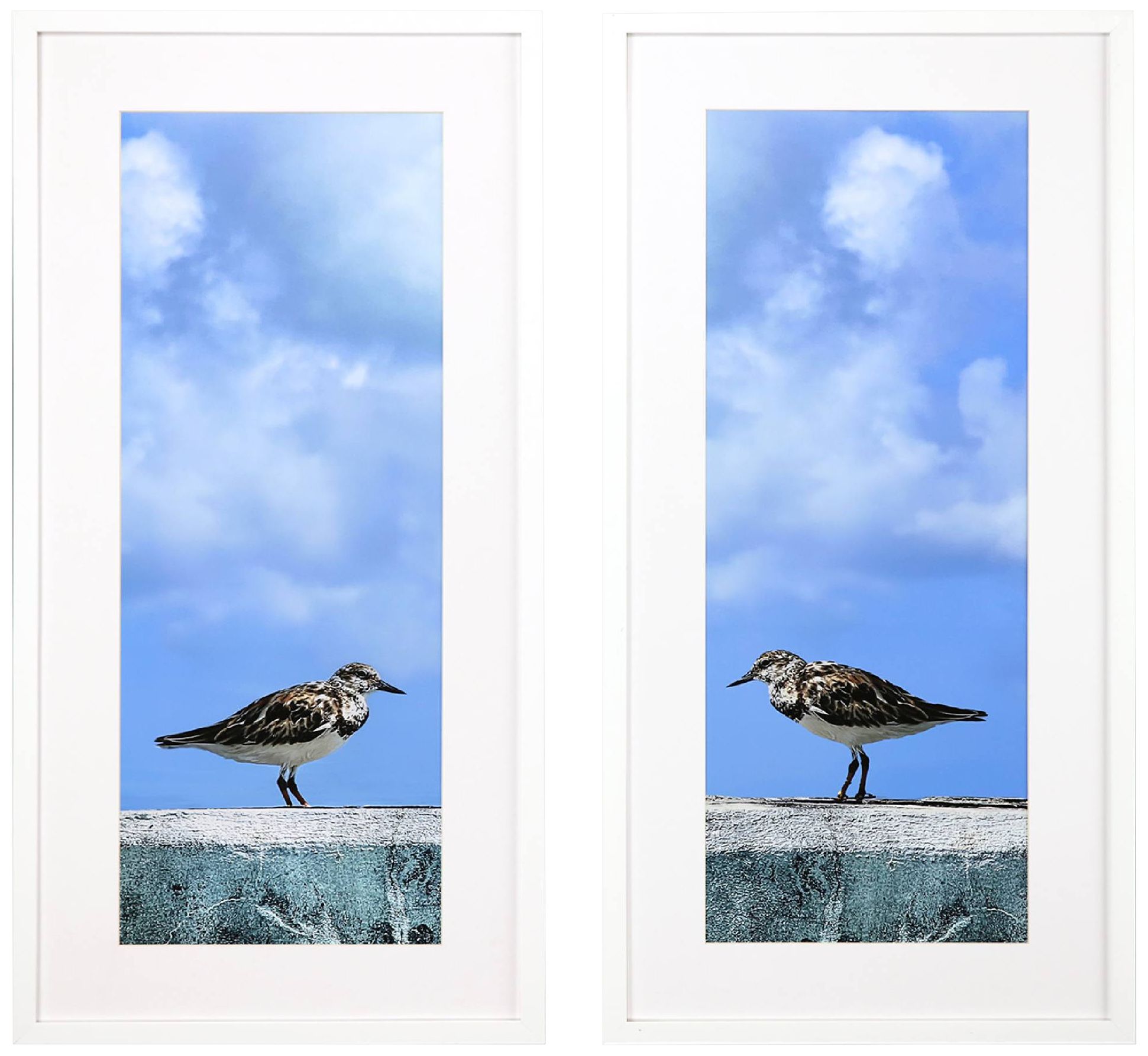 Pier Piper 40" High Rectangular 2-Piece Framed Wall Art Set