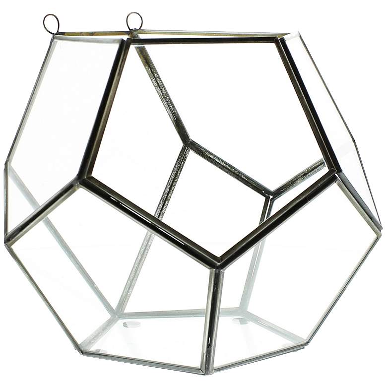 Image 1 Pierre Dodecahedron Clear Glass Wall Terrarium