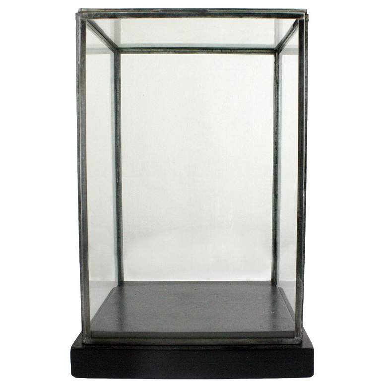 Image 1 Pierre Medium Clear Glass Showcase with Black Wood Base