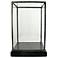 Pierre Medium Clear Glass Showcase with Black Wood Base
