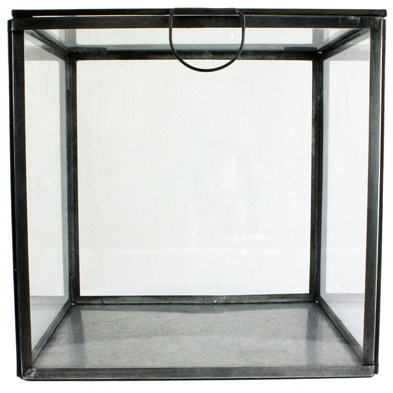 Image 1 Pierre Square Clear Glass Case