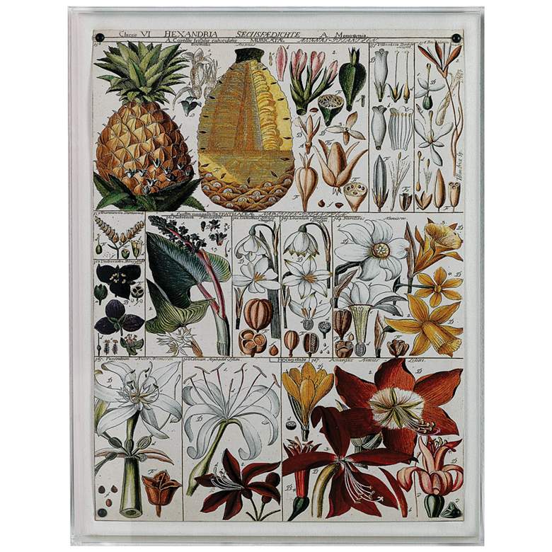 Image 1 Pineapple Chart 26 inch High Rectangular Giclee Framed Wall Art