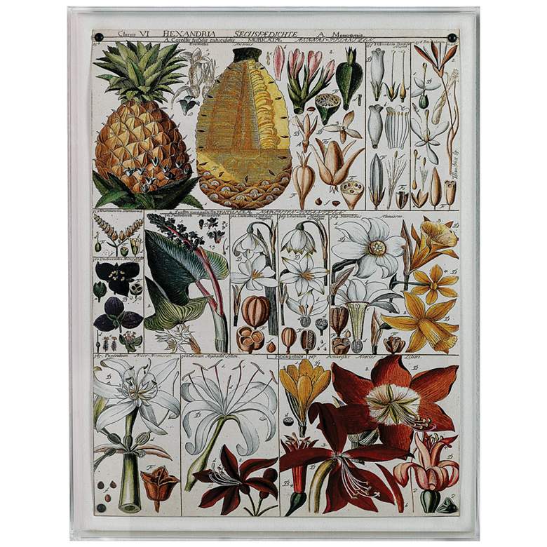 Image 1 Pineapple Chart 26" High Rectangular Giclee Framed Wall Art
