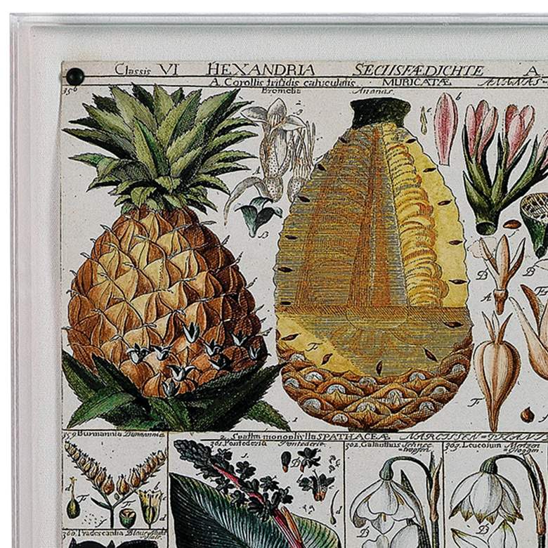Image 2 Pineapple Chart 26" High Rectangular Giclee Framed Wall Art more views