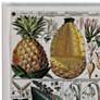 Pineapple Chart 26" High Rectangular Giclee Framed Wall Art