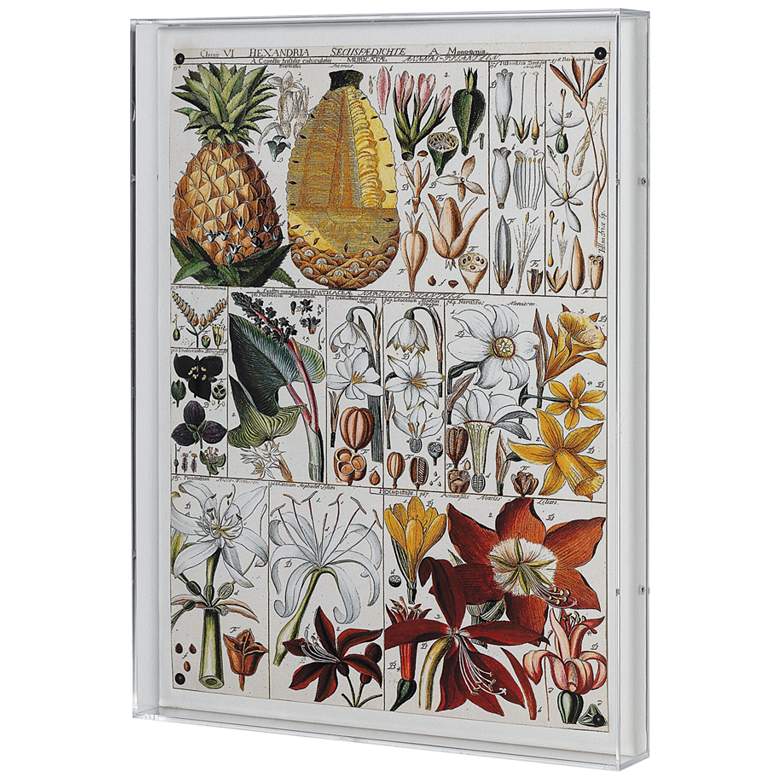Image 3 Pineapple Chart 26" High Rectangular Giclee Framed Wall Art more views