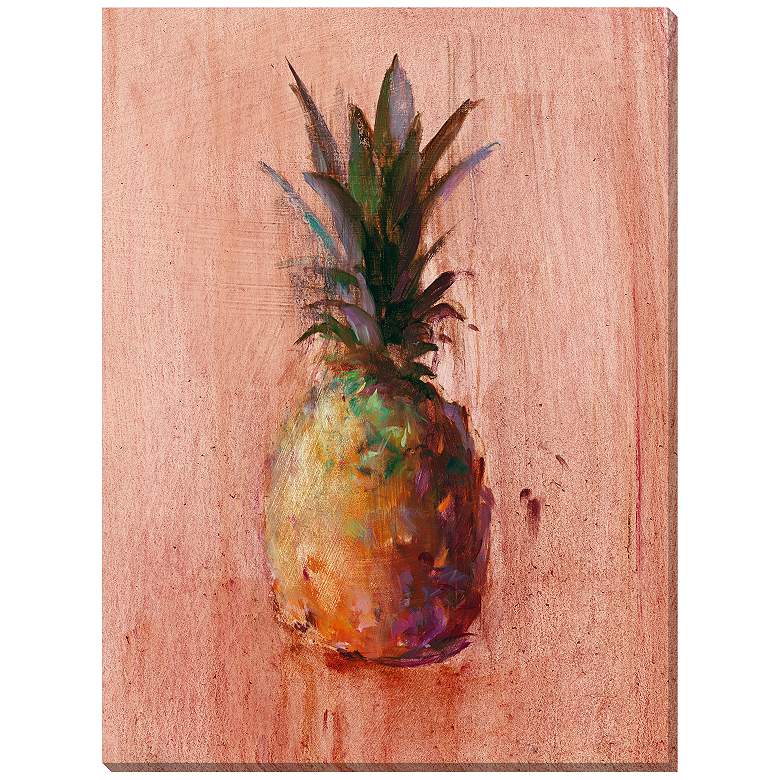 Image 1 Pineapples X 16 inch x 18 inch Rectangular Canvas Wall Art