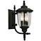 Pinedale - 15 inch Outdoor Wall Light - Matte Black - Clear Seeded Glass